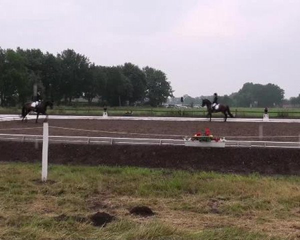 Weser Ems Meisterschaften Cloppenburg 2012