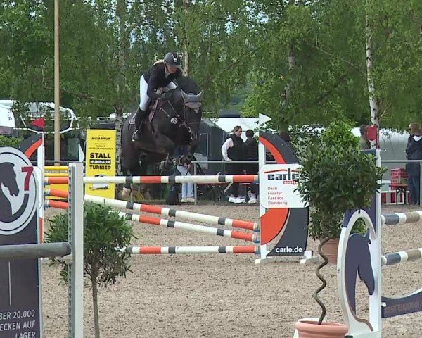 Reitturnier Landenhausen 2024