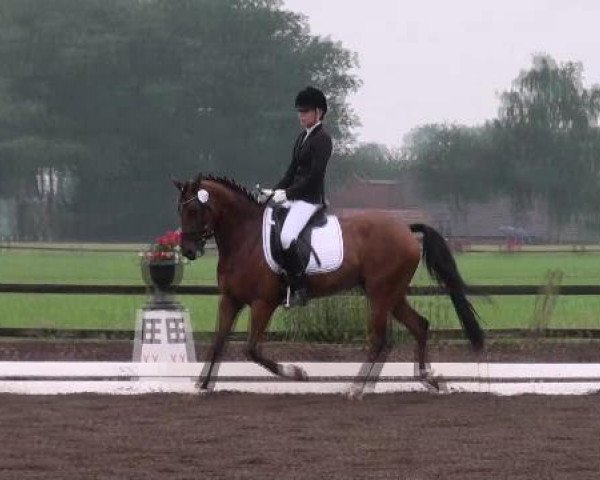 Weser Ems Meisterschaften Cloppenburg 2012