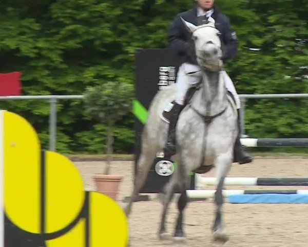 Reitturnier Landenhausen 2024