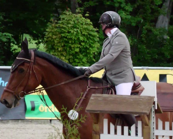 Reitturnier Karlsfeld/Obb. 2024