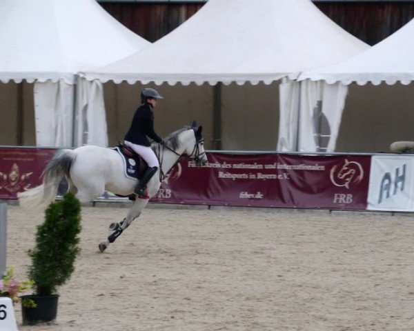 Reitturnier Karlsfeld/Obb. 2024