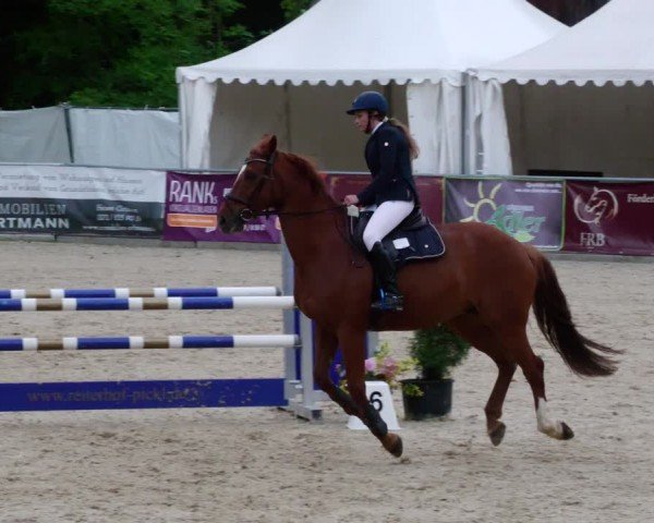 Reitturnier Karlsfeld/Obb. 2024