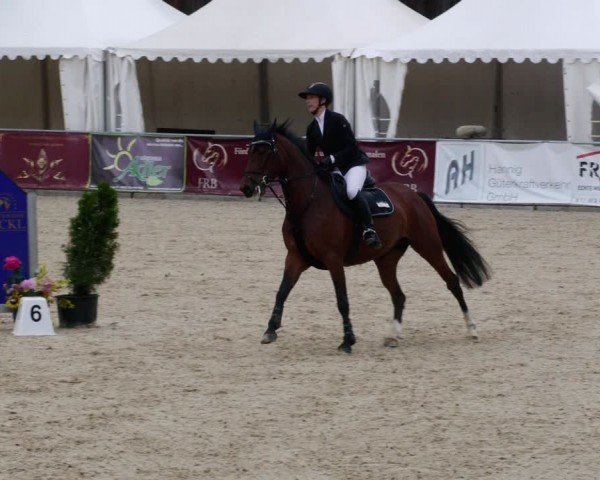 Reitturnier Karlsfeld/Obb. 2024