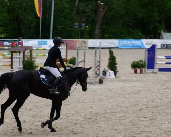 Reitturnier Karlsfeld/Obb. 2024