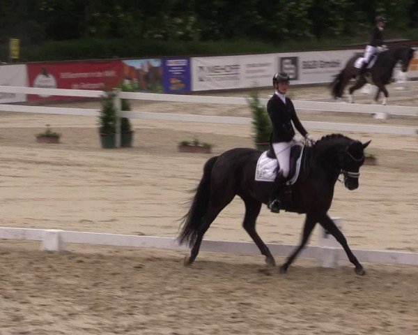 Reitturnier Everswinkel 2024
