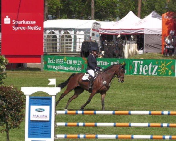 Reitturnier Cottbus-Sielow 2024