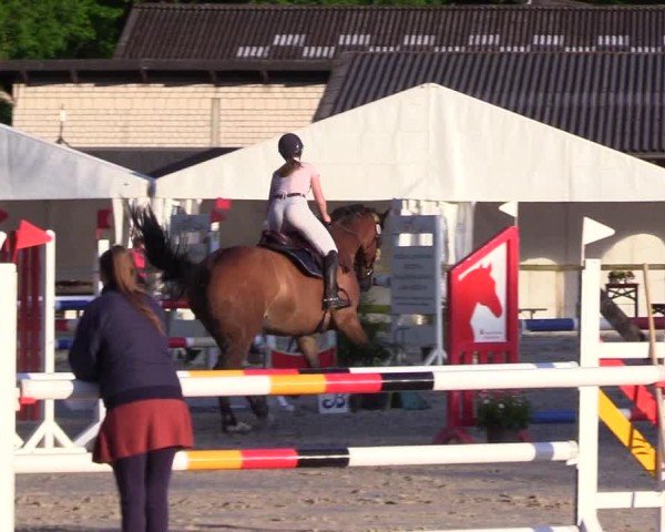 Reitturnier Kropp 2024