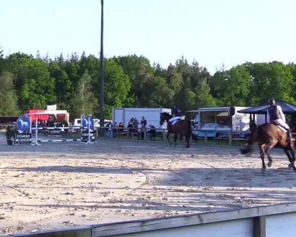 Reitturnier Kropp 2024