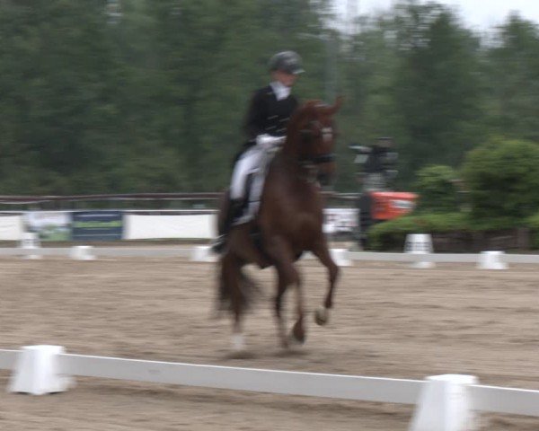 Reitturnier Frechen-Grefrath - Sonnenhof 2024