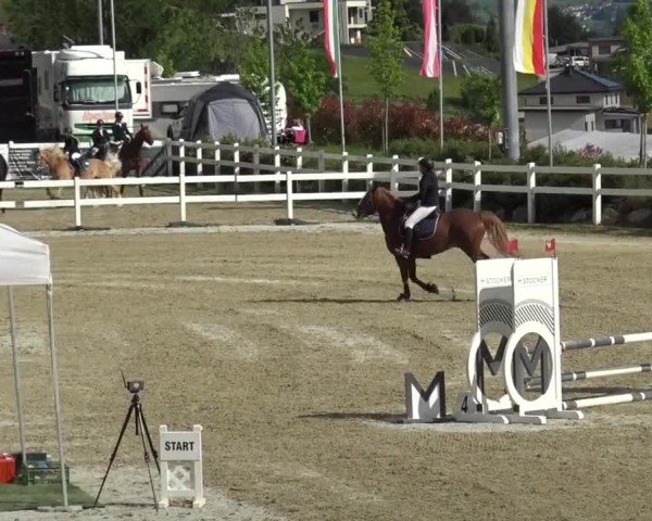 Reitturnier St. Margarethen 2024