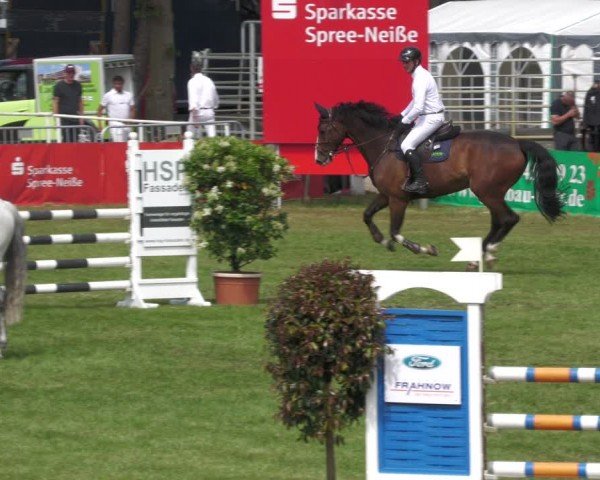 Reitturnier Cottbus-Sielow 2024