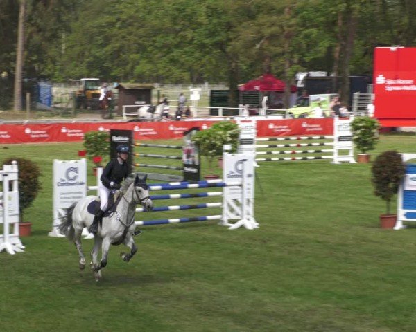 Reitturnier Cottbus-Sielow 2024