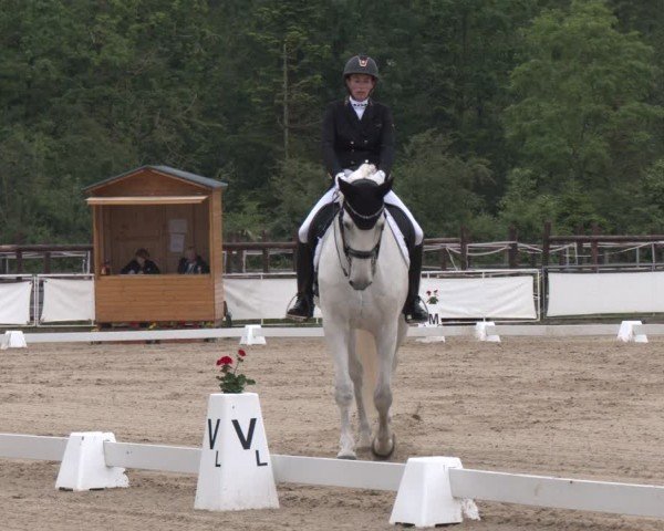 Reitturnier Frechen-Grefrath - Sonnenhof 2024