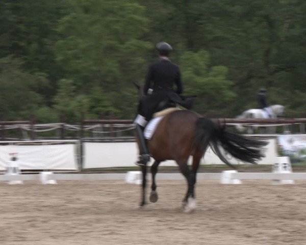 Reitturnier Frechen-Grefrath - Sonnenhof 2024