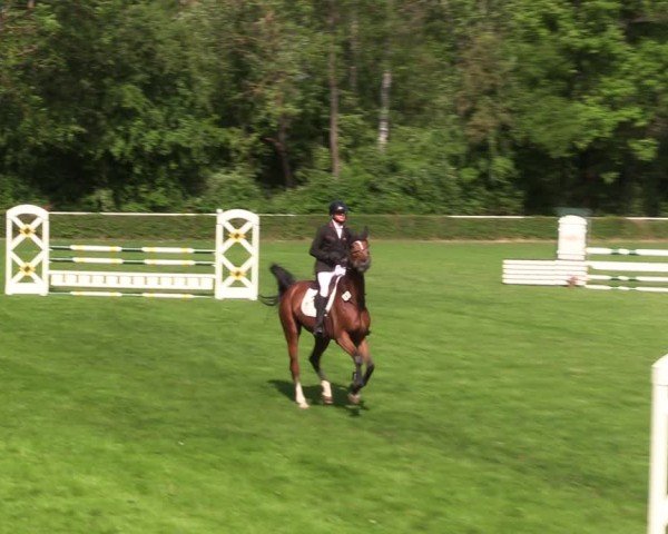 Reitturnier Westeregeln 2024