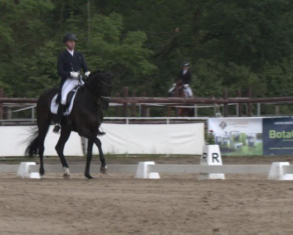 Reitturnier Frechen-Grefrath - Sonnenhof 2024