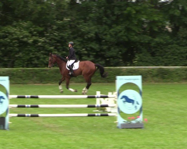 Reitturnier Westeregeln 2024