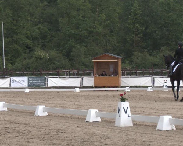 Reitturnier Frechen-Grefrath - Sonnenhof 2024