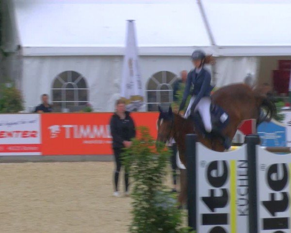 Reitturnier Borken 2024