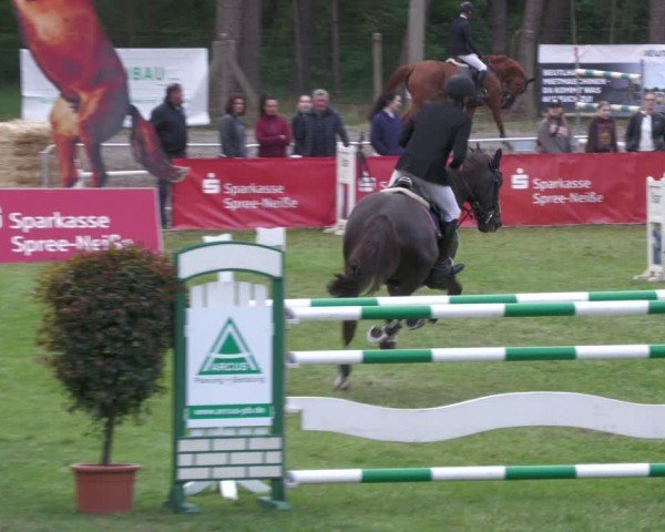 Reitturnier Cottbus-Sielow 2024