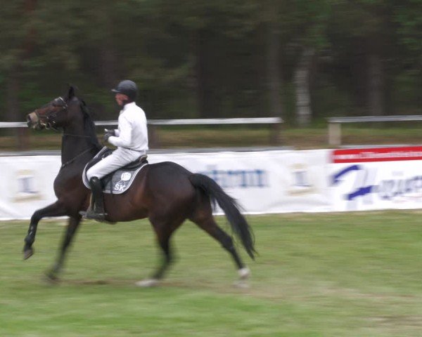Reitturnier Cottbus-Sielow 2024