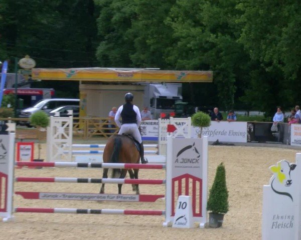 Reitturnier Borken 2024