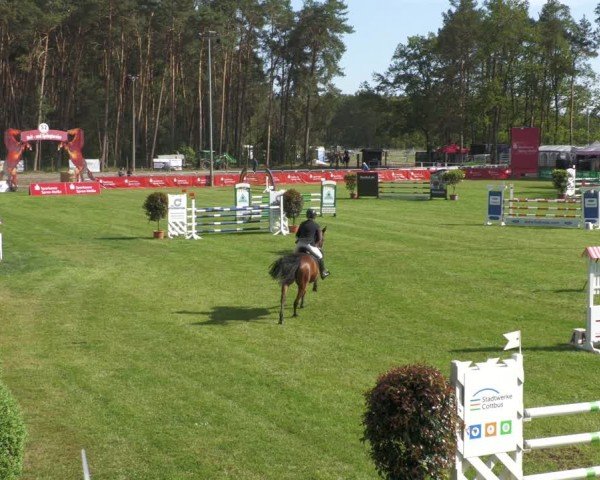 Reitturnier Cottbus-Sielow 2024