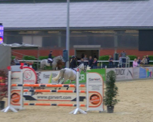 Reitturnier Borken 2024