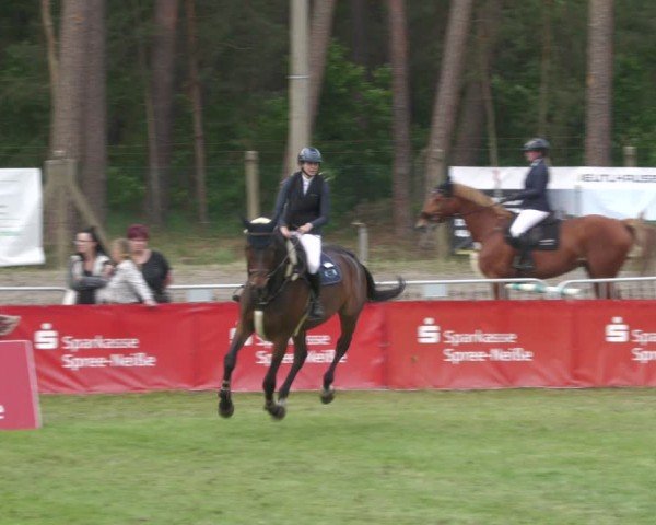 Reitturnier Cottbus-Sielow 2024