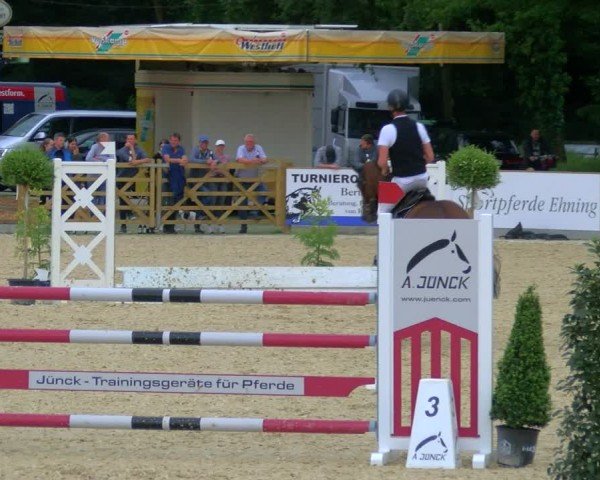 Reitturnier Borken 2024
