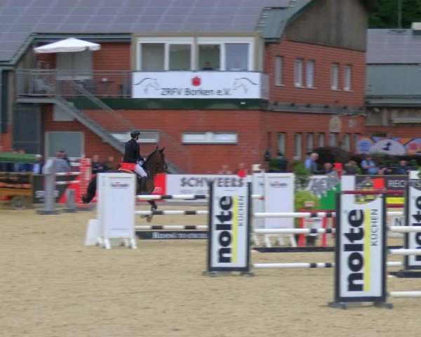 Reitturnier Borken 2024