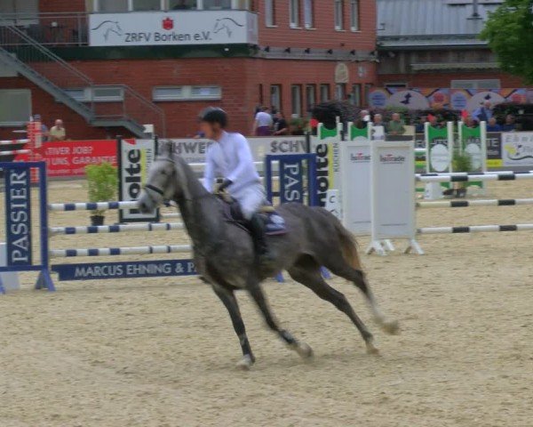 Reitturnier Borken 2024