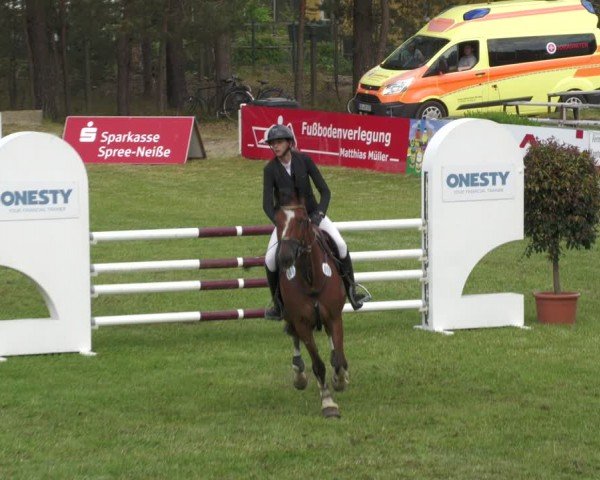 Reitturnier Cottbus-Sielow 2024