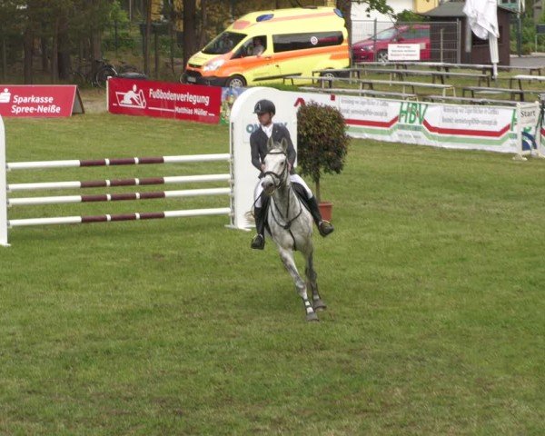 Reitturnier Cottbus-Sielow 2024