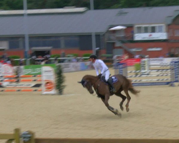 Reitturnier Borken 2024