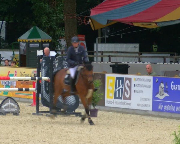 Reitturnier Borken 2024