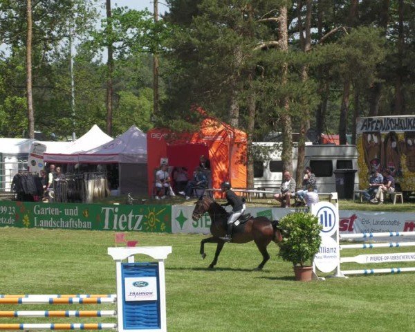 Reitturnier Cottbus-Sielow 2024