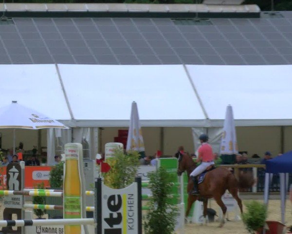Reitturnier Borken 2024