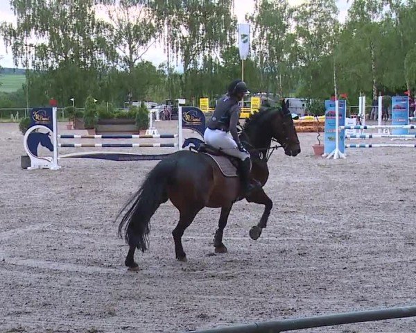 Reitturnier Landenhausen 2024