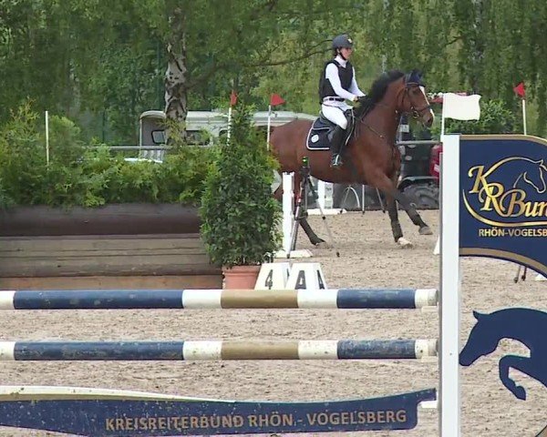 Reitturnier Landenhausen 2024