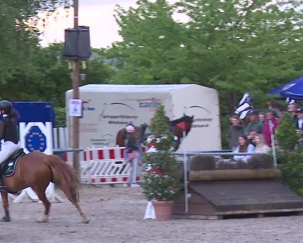 Reitturnier Landenhausen 2024