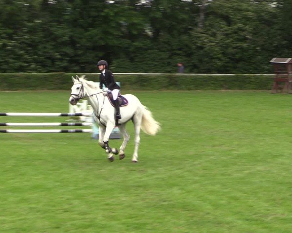 Reitturnier Westeregeln 2024