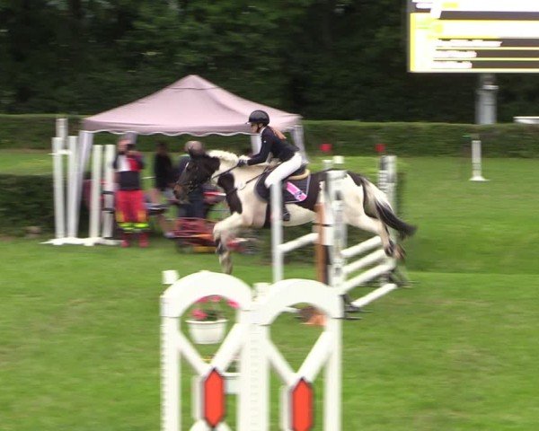 Reitturnier Westeregeln 2024