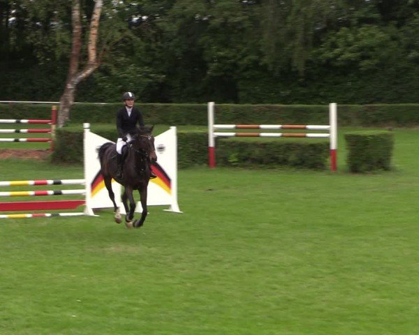 Reitturnier Westeregeln 2024