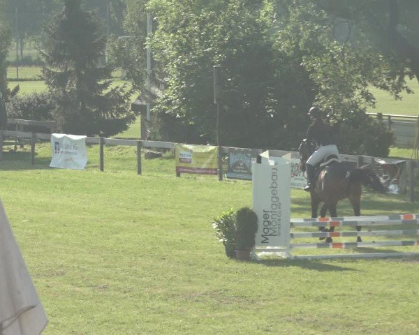 Reitturnier Pennigbüttel 2024