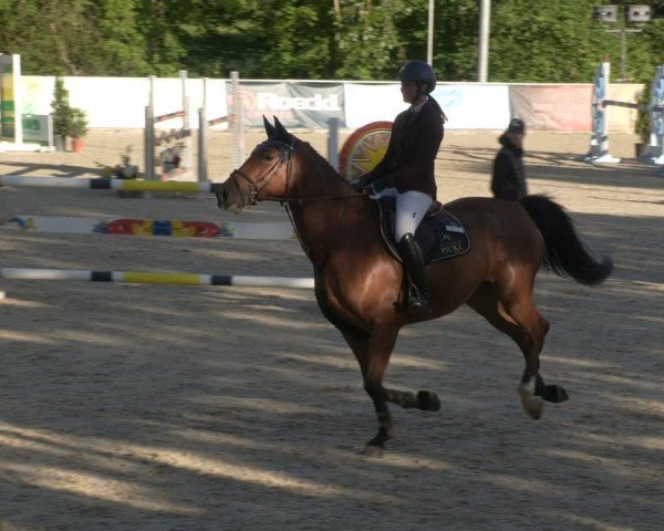 Reitturnier Karlsfeld/Obb. 2024