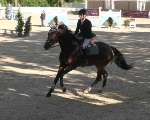 Reitturnier Karlsfeld/Obb. 2024
