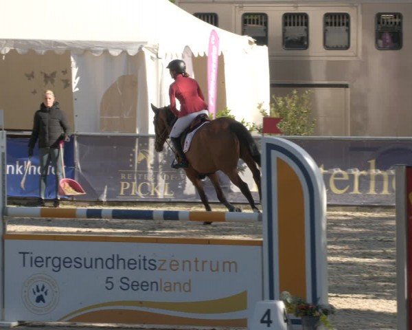 Reitturnier Karlsfeld/Obb. 2024