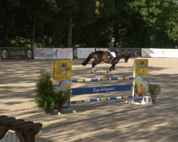 Reitturnier Karlsfeld/Obb. 2024